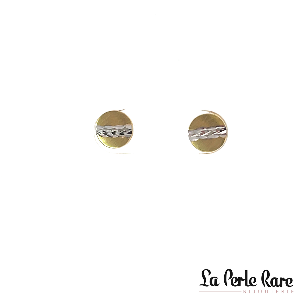 2-tone gold fixed earrings - EAS-2982-2T - Exclusivity