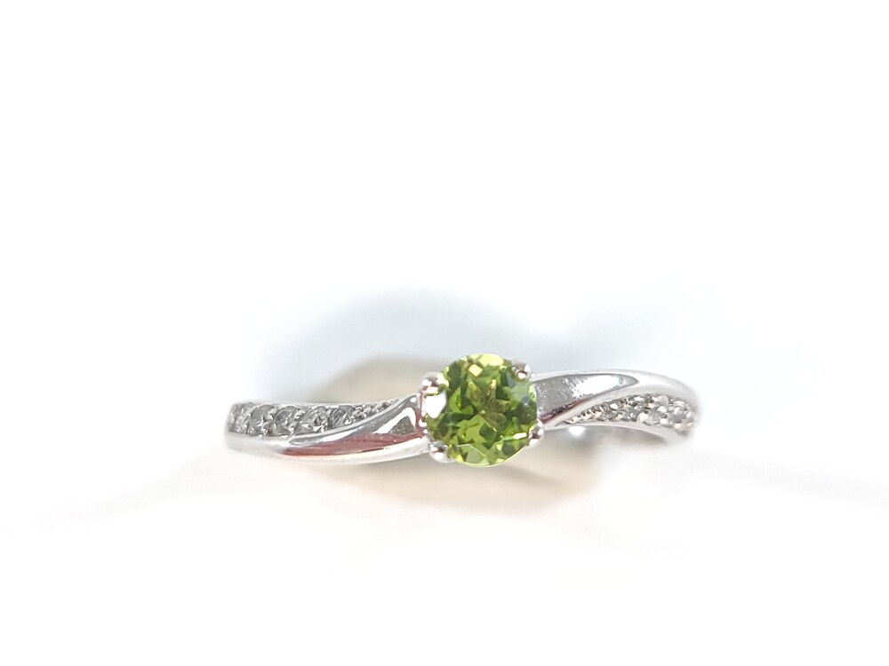  - L54349PERIDOT - Libman