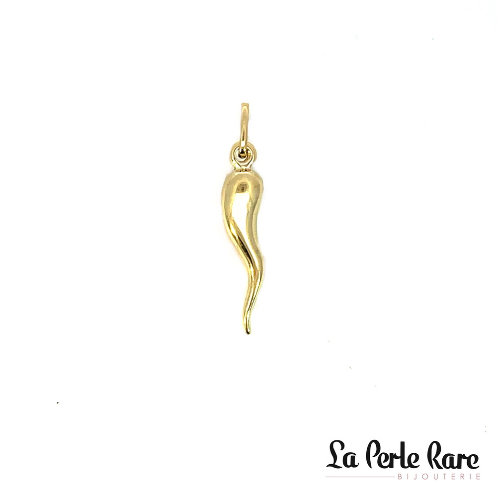 Pendentif corne d'abondance, or jaune 10 carats