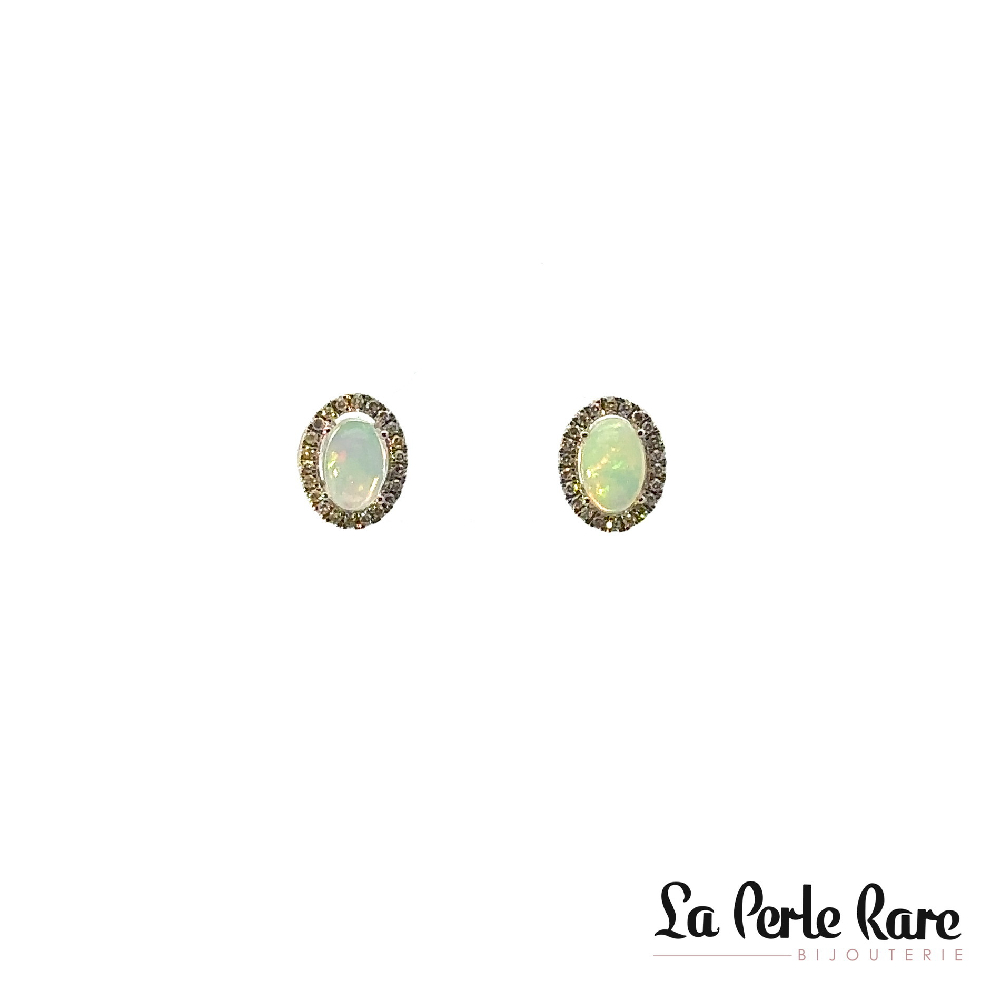 Stud Earrings, 10 Karat White Gold, Opals, Total 15 Points of Diamonds - LPR-2510 - Exclusivity