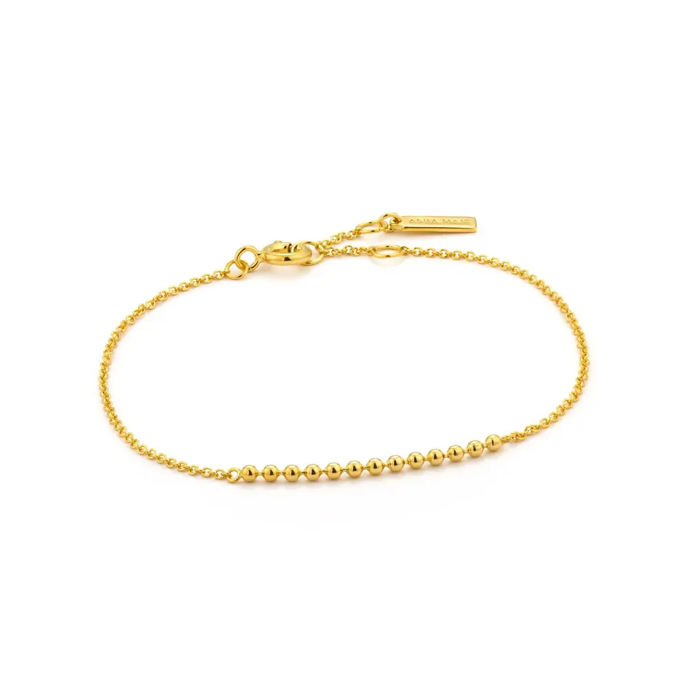  Silver gold bracelet - B002-01G - Ania Haie