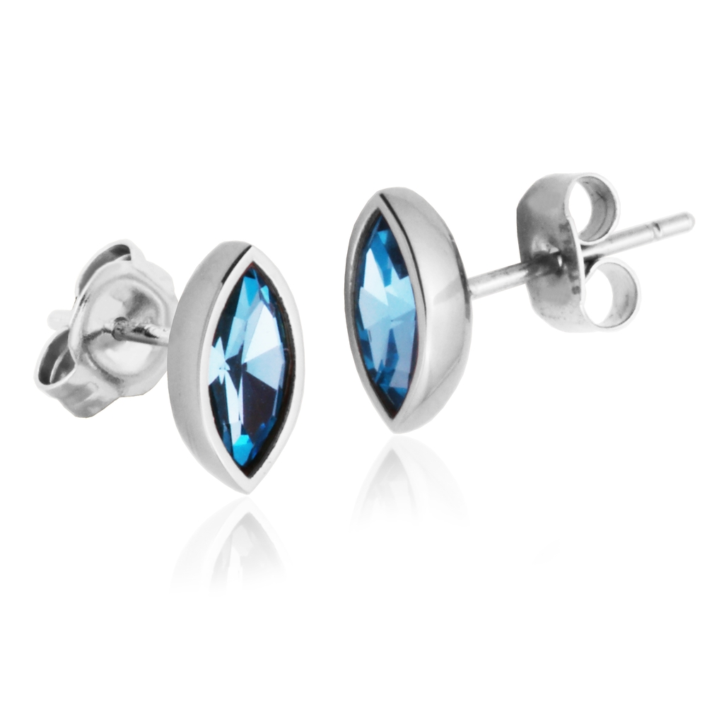 Steel and aqua blue glass fixed earrings - T2XD920100 - Steelx