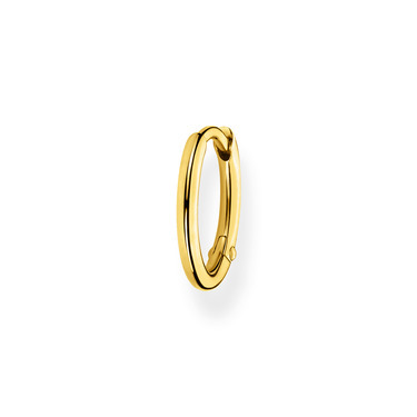 Golden silver hoop earring (singular)