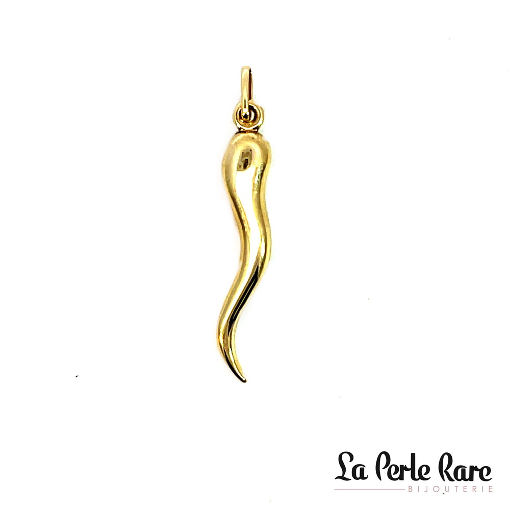 Pendentif corne d'abondance, or jaune 10 carats