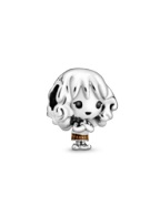 Bille hermione granger, émail noir/gris - 798625C01 - Pandora