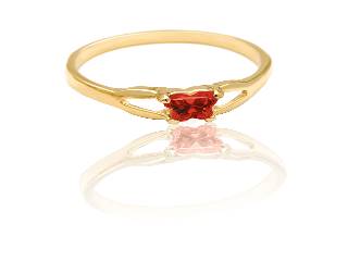 Yellow gold january ring with zirconium - BR-JA-10 - B Fly